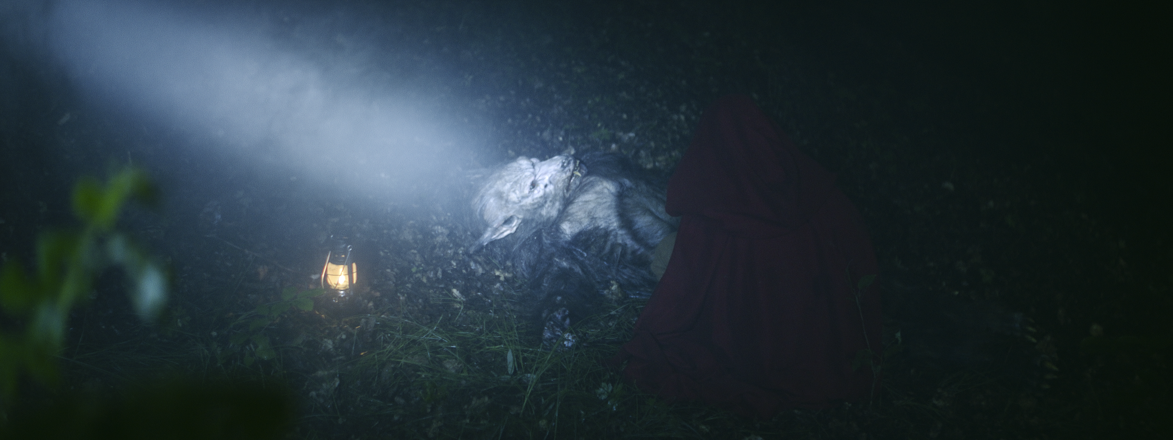 wolf